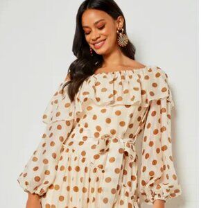 NWT  TUULA Polka-Dot Dress With Ruffles